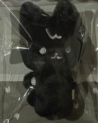 榮豆豆眼娃
