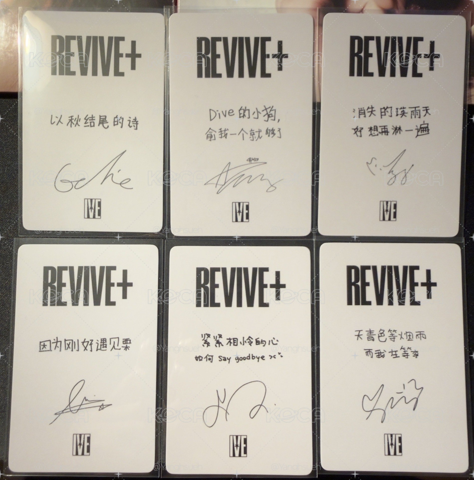 （現貨）REVIVE+ 京東 1.0 特典卡 