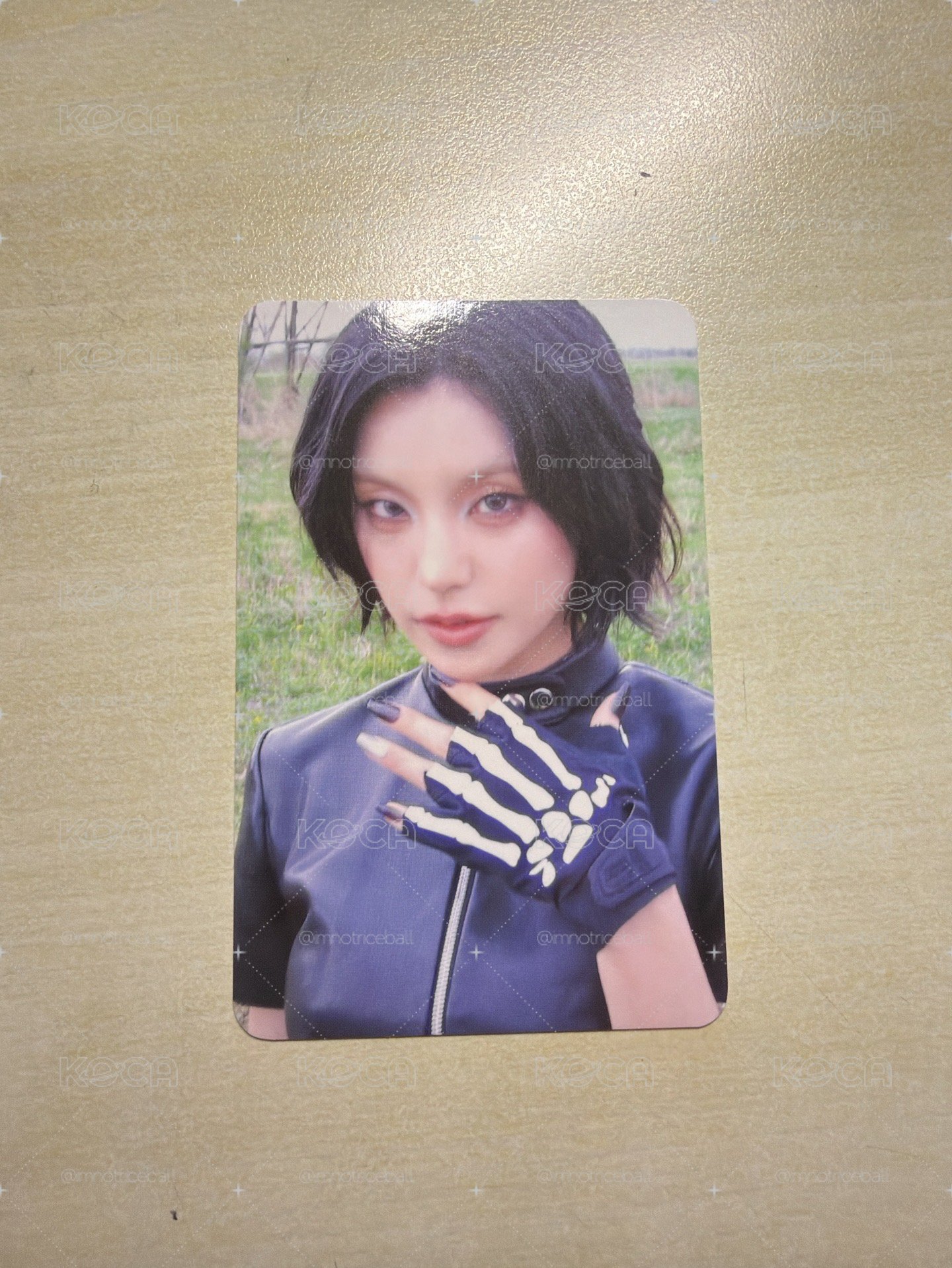 MS預售 花絮卡 志