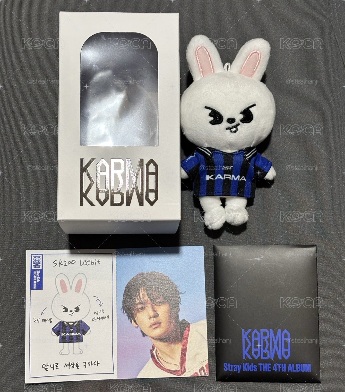 KARMA電子娃專 李畢🐰