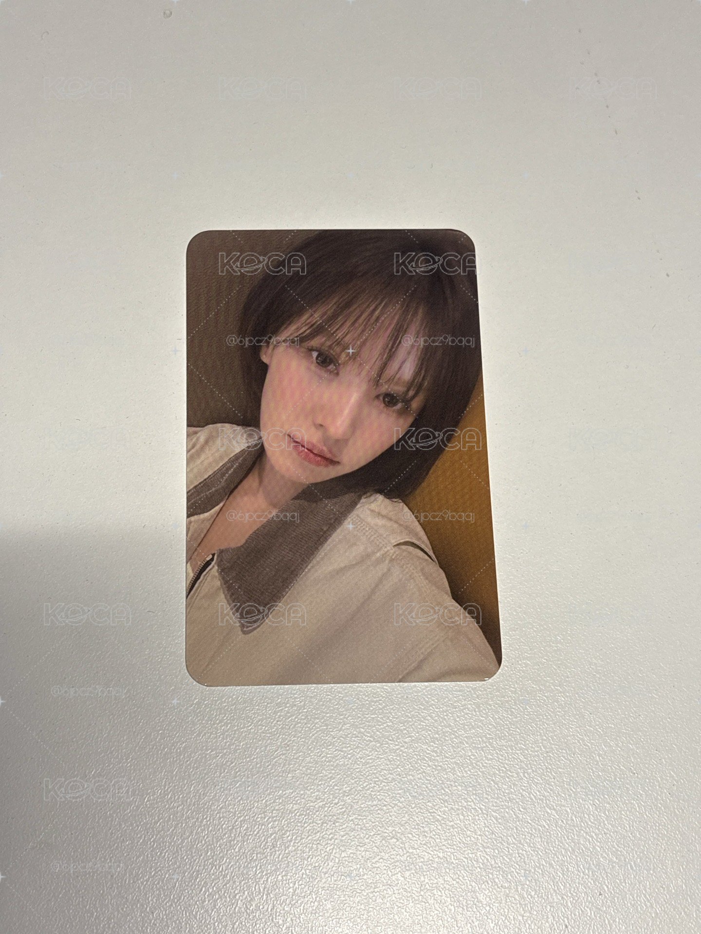 Wendy櫻花季小卡