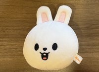 李畢 壓力球