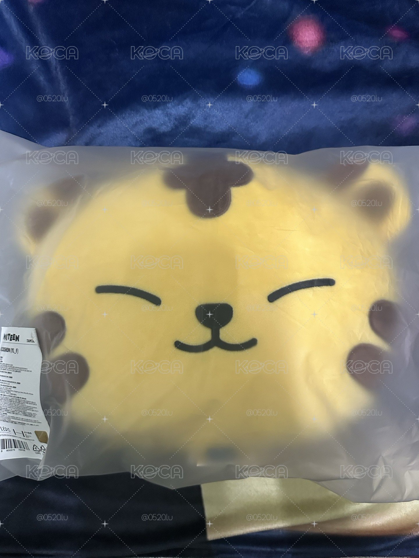 眈眈抱枕（保留中勿下單）