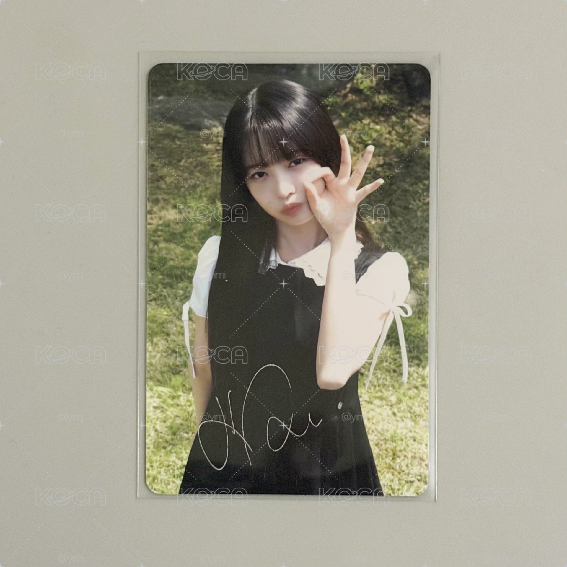 Dicon kakao怜