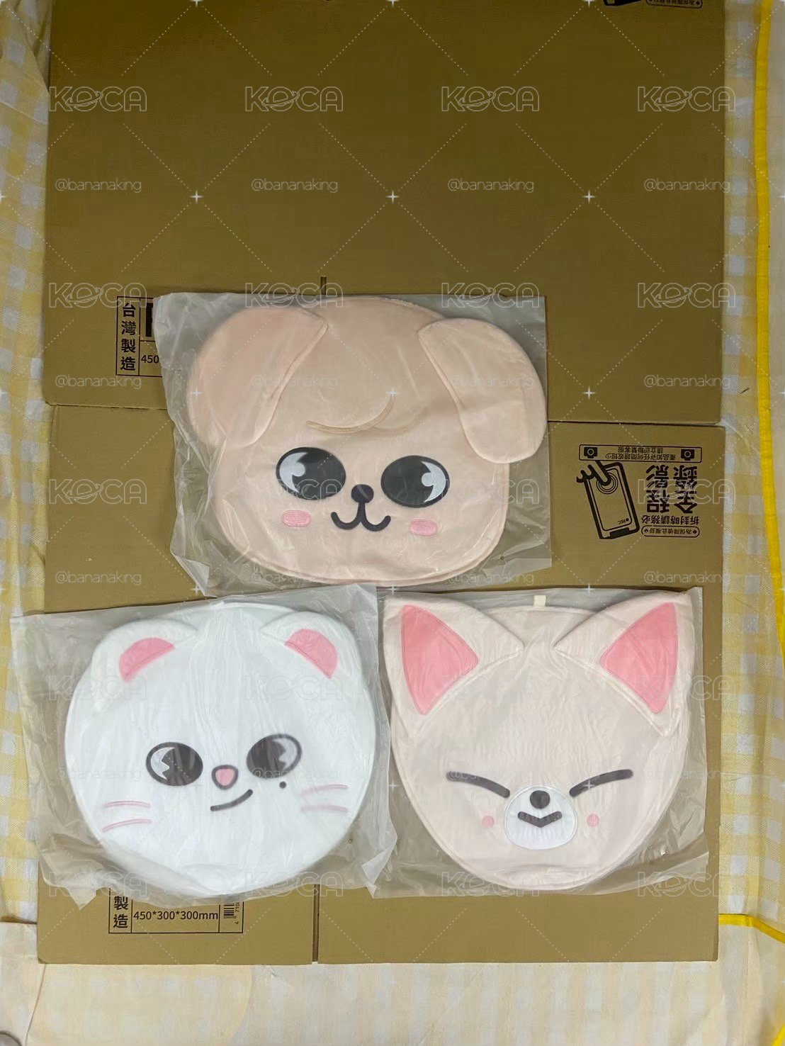 現貨  日本原版扇套 全新未拆