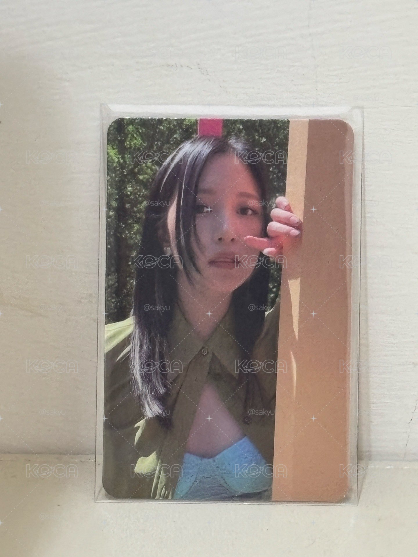 Mina 專卡