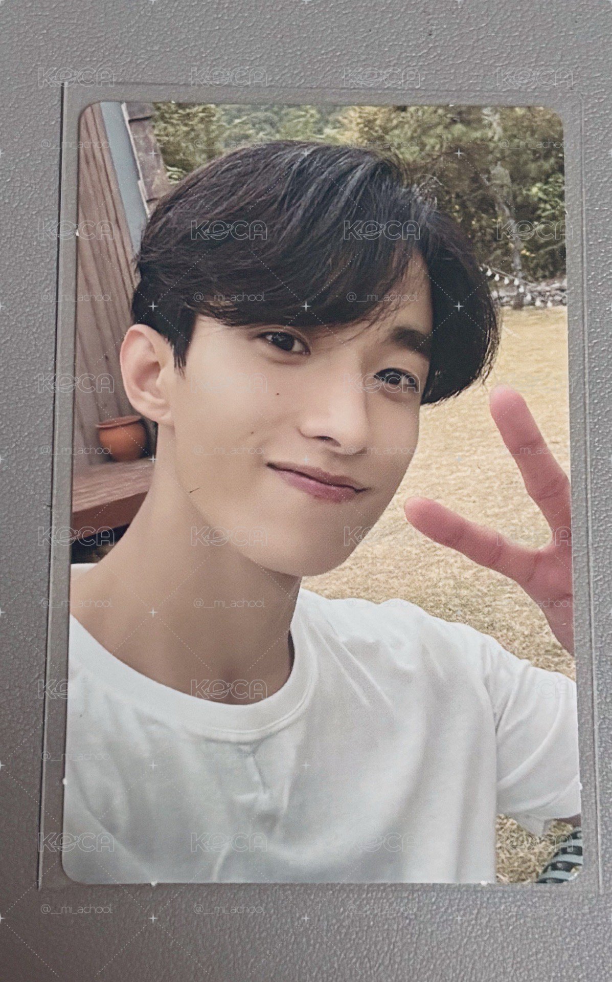 SEVENTEEN DK<in the soop5.0>