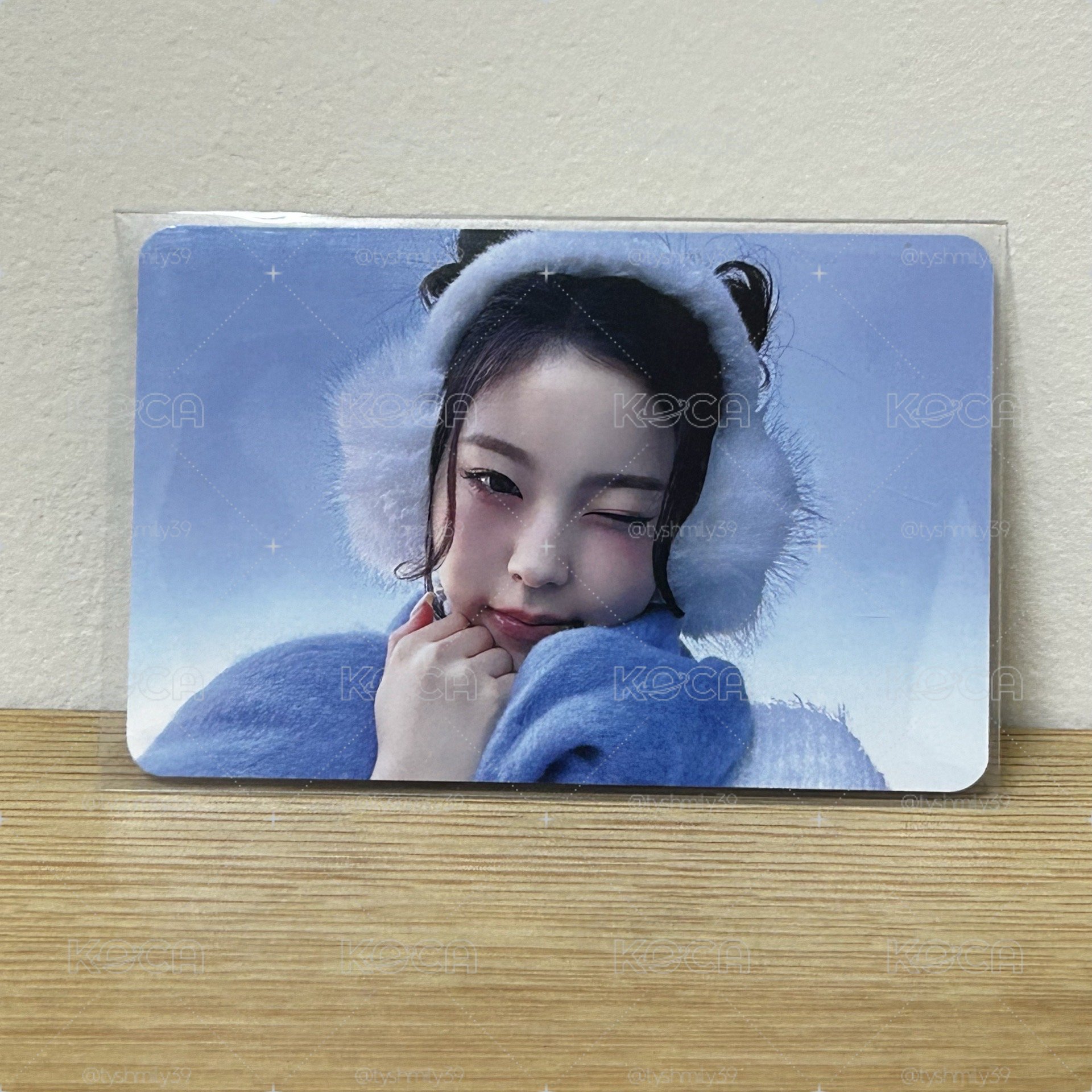 🐬暖呼呼圭
