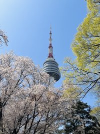 凜小冷