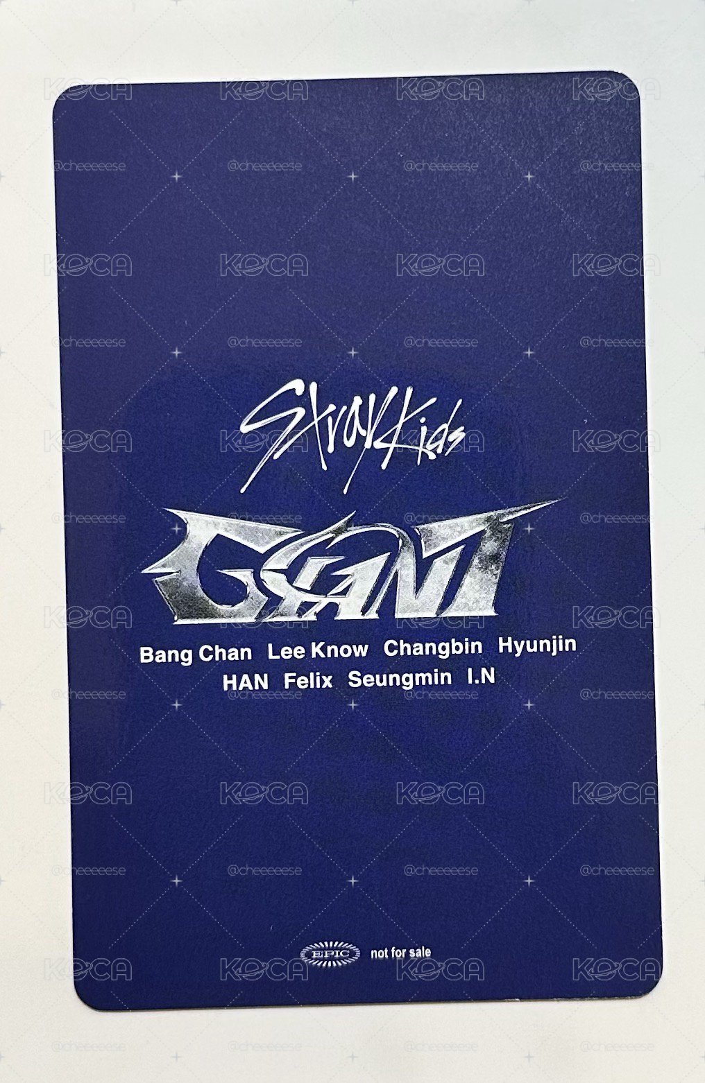 ✅Giant東京場限卡-燦
