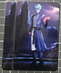 ❤️銀虎全身QR卡