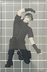 ❤️銀虎透卡 B ver.