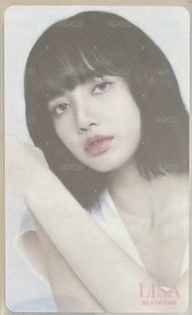 環球白莎
