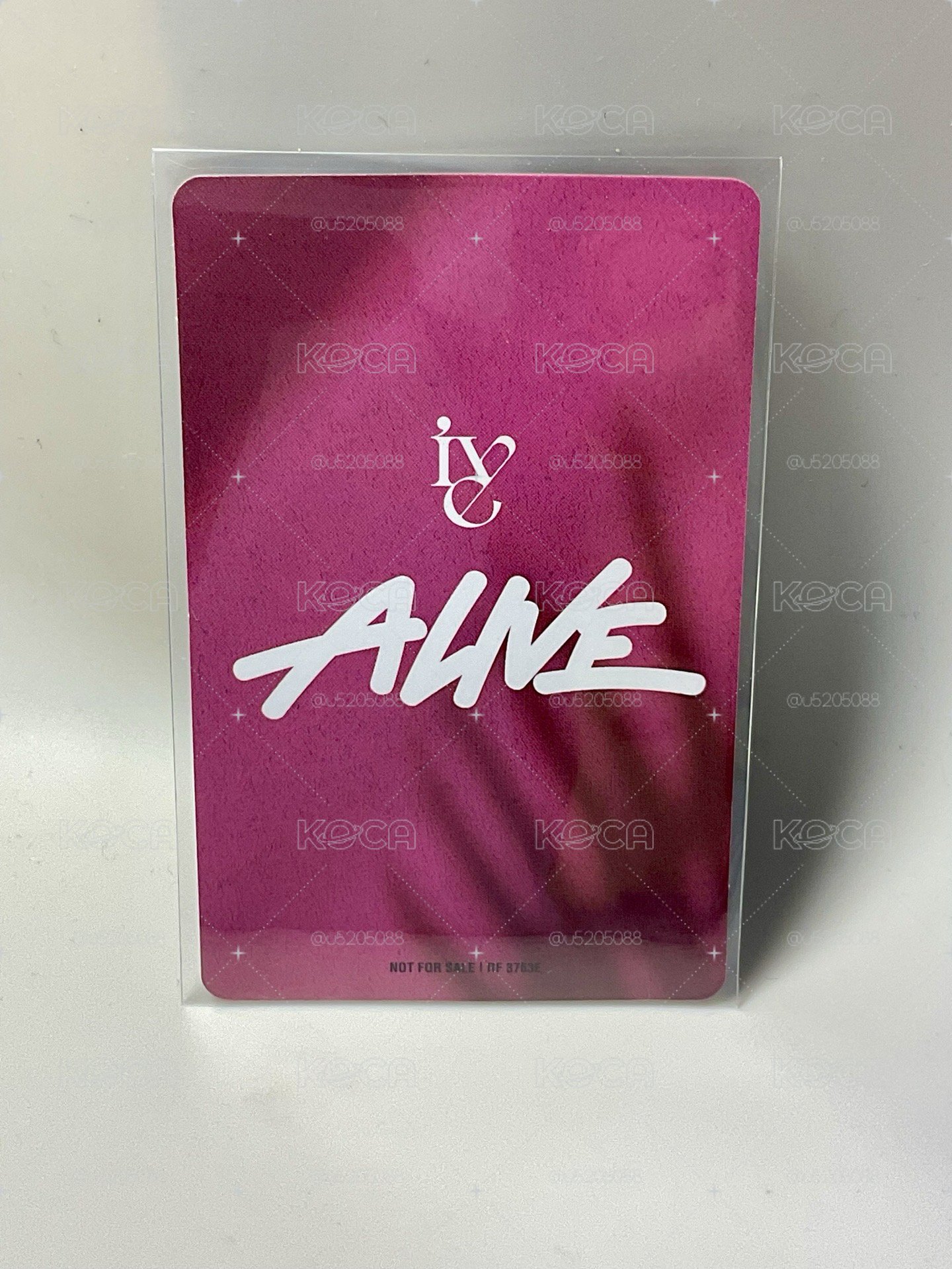 ALIVE 專輯卡 通常盤 🌰