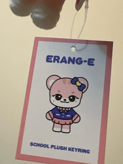 🐯萌萌制服瑞🐯（星期一前售出可直接寄出）