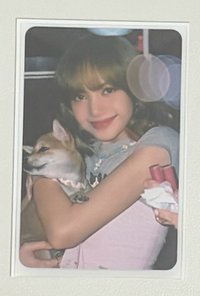 狗狗莎+2018首爾dvd明信片