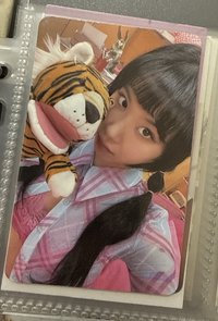 迷11 老虎彩