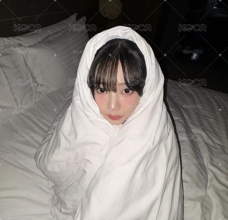 卡寶小卡專區