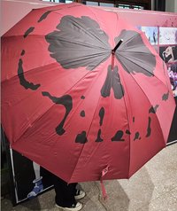 飛坦直傘