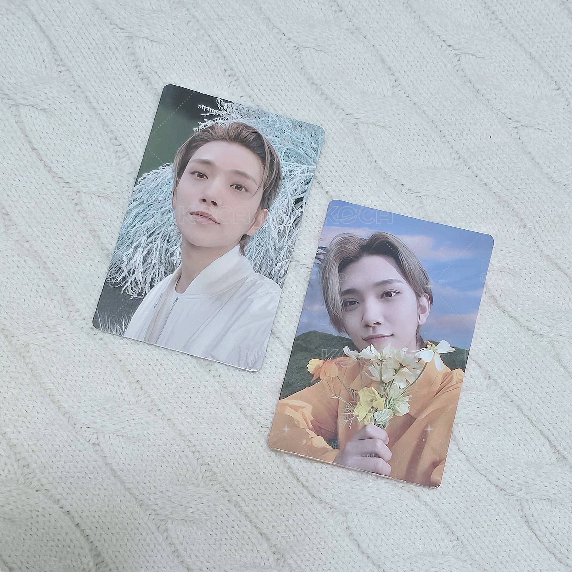 🌸現貨 SECTOR 17 正四 專卡兩張 知秀 Joshua