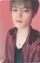 2025年曆 隨機卡 