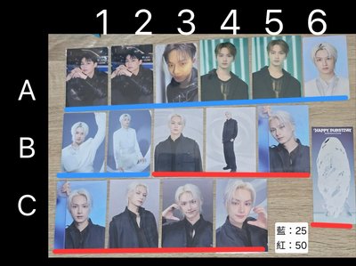 seventeen 全員小卡