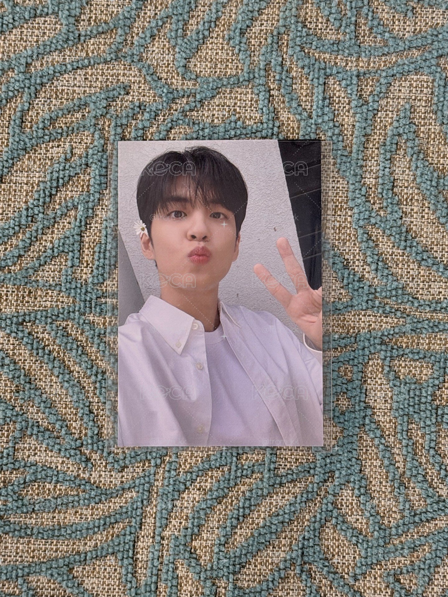 元弼 Cosmopolitan雜誌卡🐰*