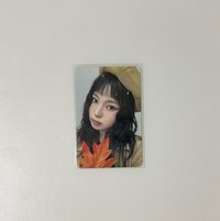 MS楓葉