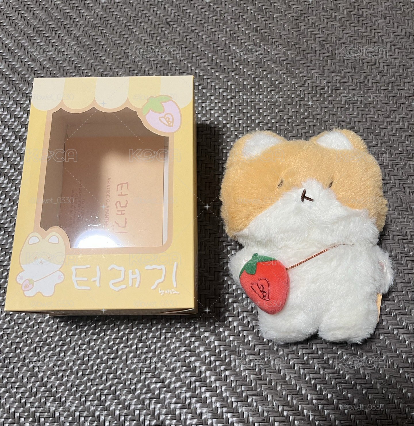 伯賢 20cm特來騎 小盤