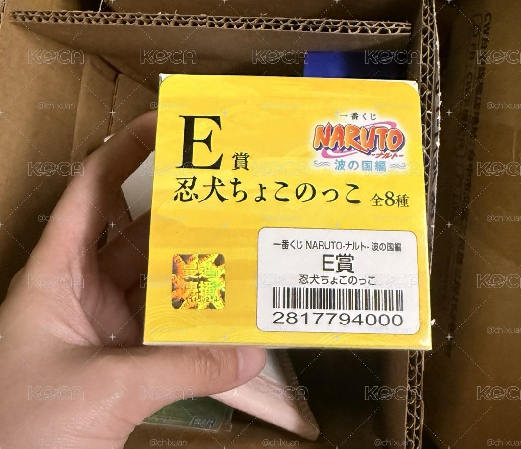 火影忍者 波之國篇 忍犬 全新