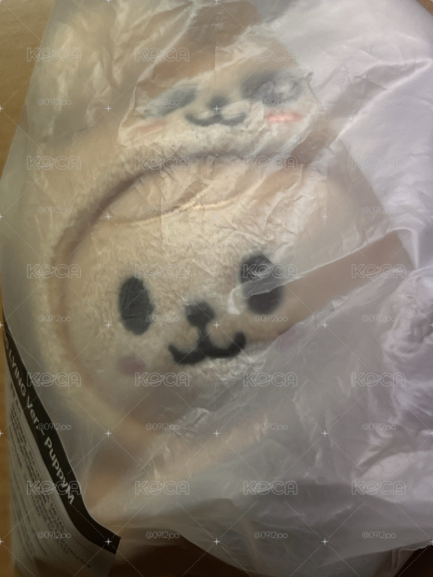 趴娃玟