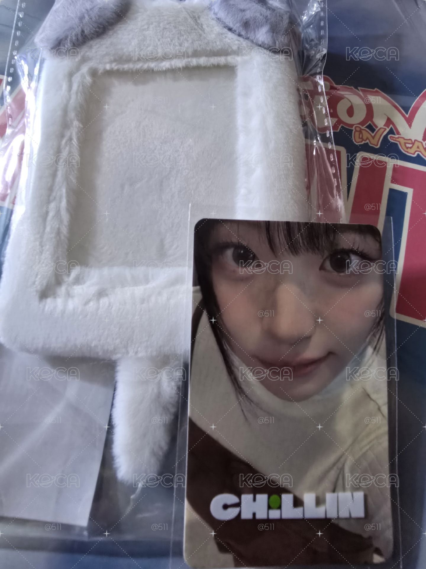 QWER Chodan 卡套組