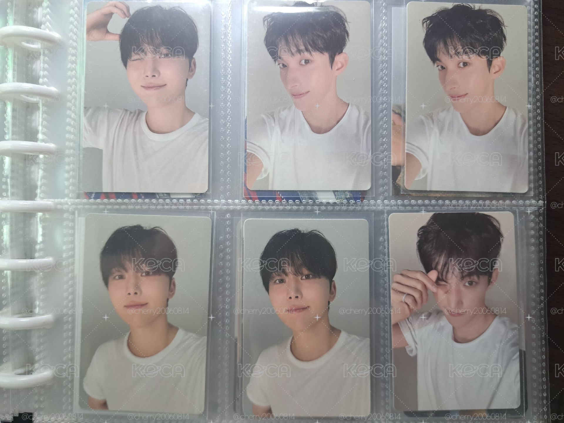 DxS 小夜曲 C版專輯卡