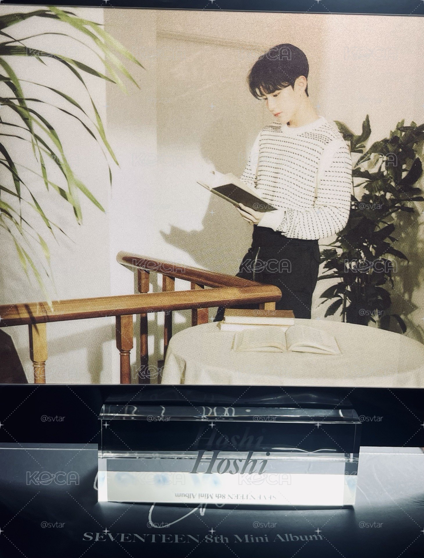 【HOSHI】mini8相框立牌（盒損）
