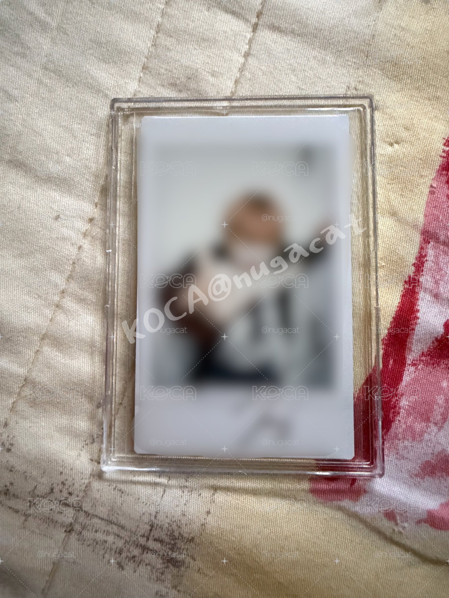 BOYNEXTDOOR 泰山 親簽拍立得