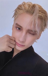 迷八 wvs 單封 特典卡 