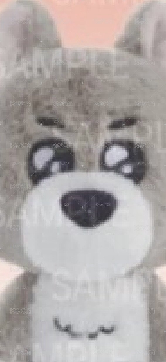 🐺MYNG MYNG證件照🐺