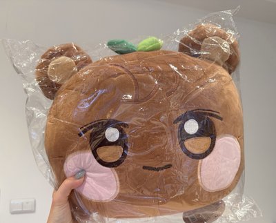 熊抱枕