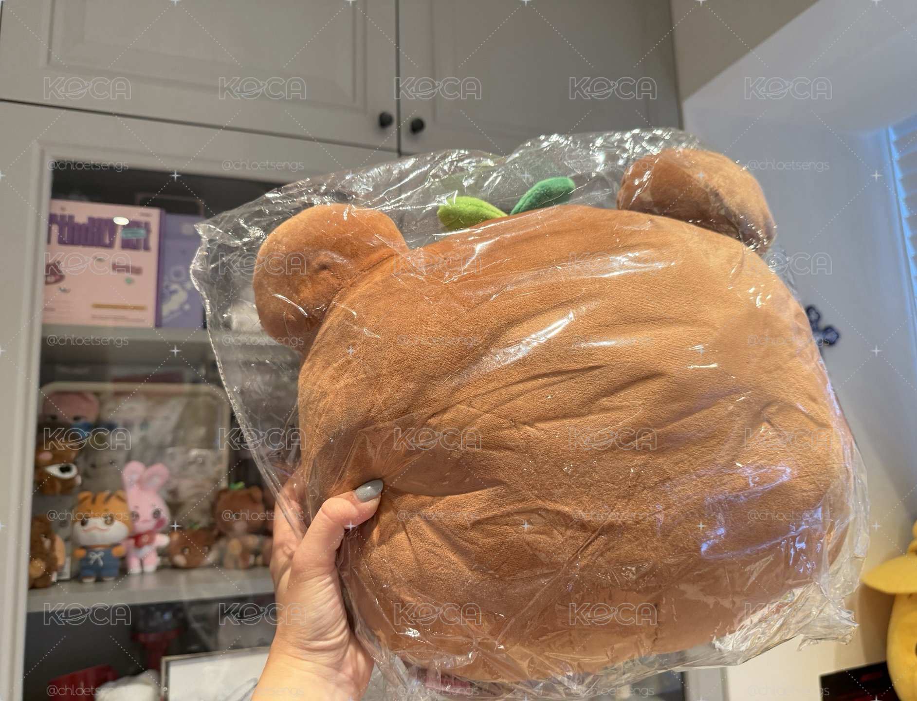熊抱枕