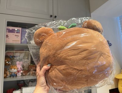 熊抱枕