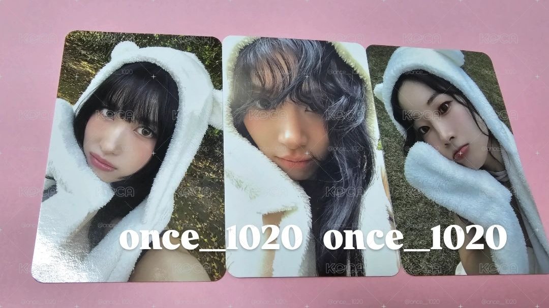 桃彩多 熊帽專卡