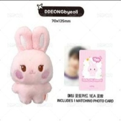 旼寶寶／ANITEEZ IN THE CALLING 娃娃玩偶 TINY ANITEEZ PLUSH DOLL