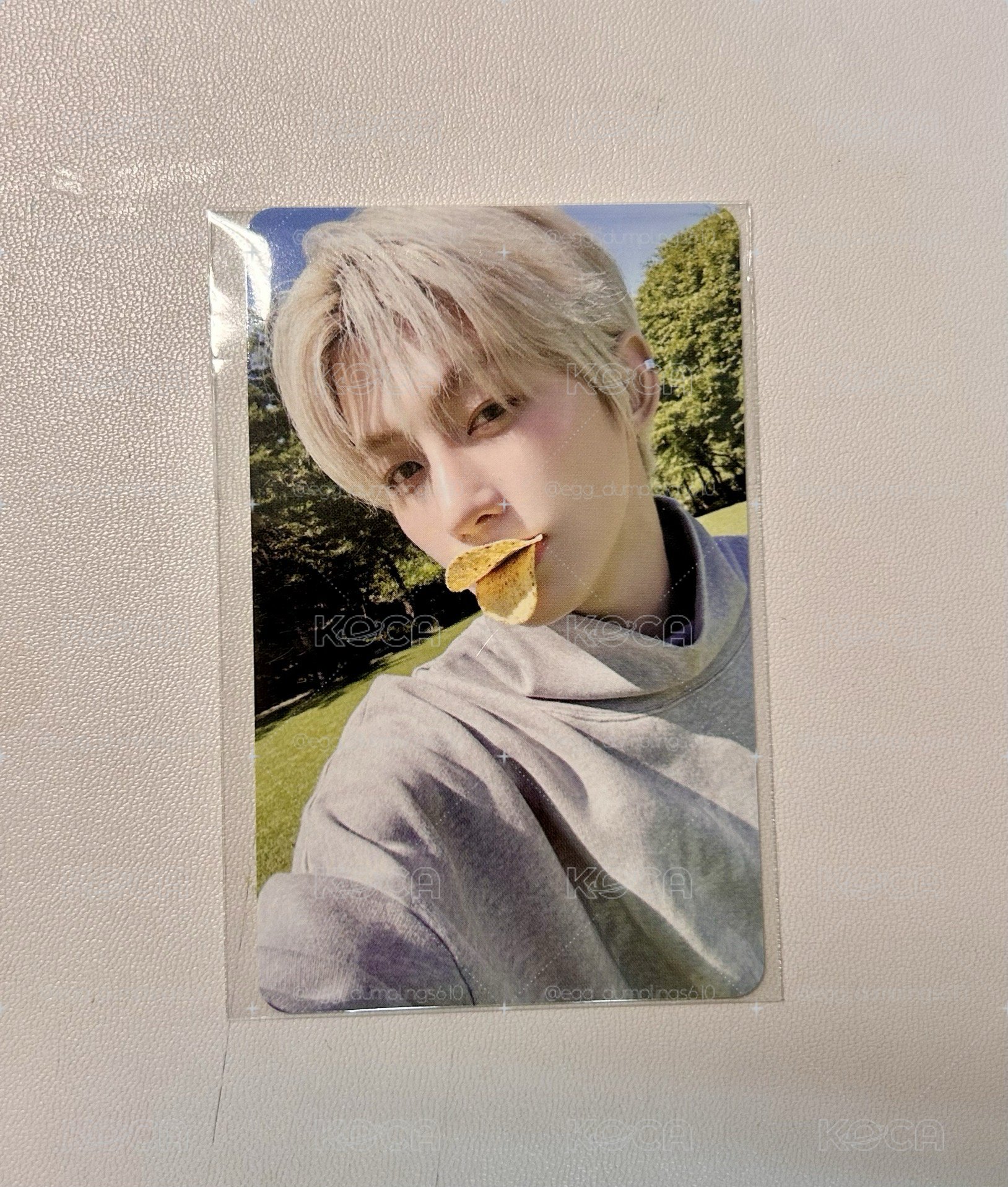 🍞志薫MK幸運卡 鴨嘴