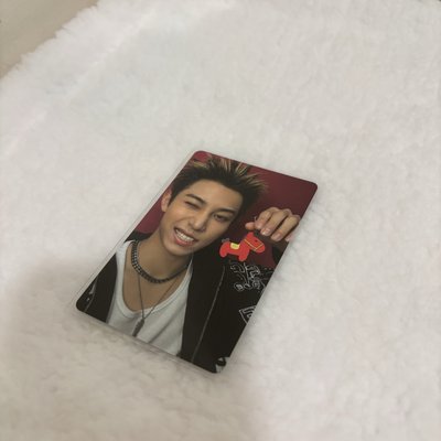 金栗馬年小盤