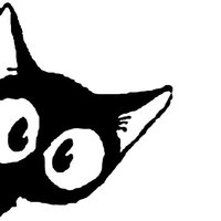 shin
