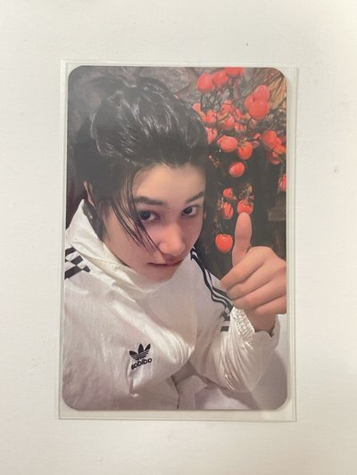 路易sw預售特典