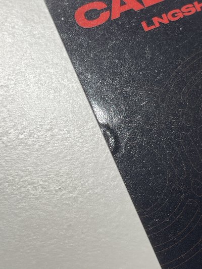 路易sw預售特典