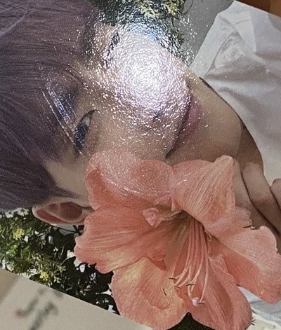 nacific 花花