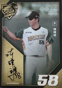 簽名卡 2024台鋼雄鷹元年球員卡 球員卡 陳偉皓 簽名卡