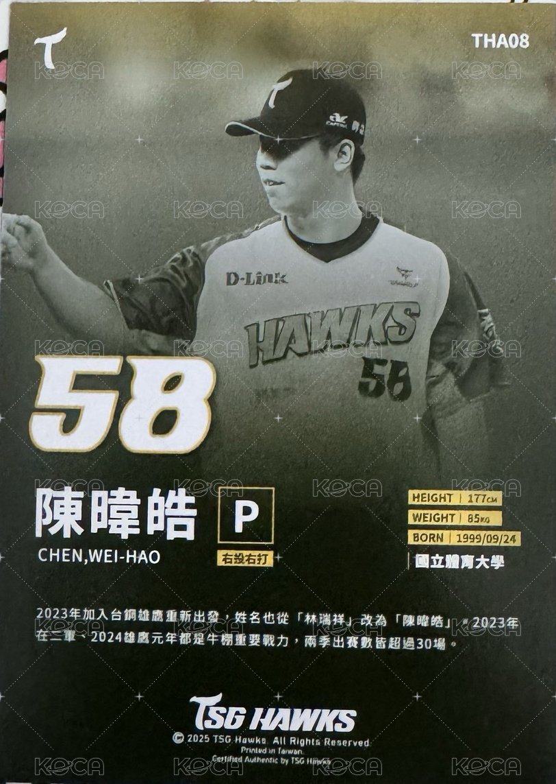 2024台鋼雄鷹 元年球員卡
